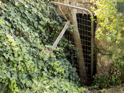 Troviamo poi abbandonato a se stesso uno dei tanti ipogei presenti in questa zona, denominato �della via Minuncia�. L�ingresso, invaso da foglie di edera, � sbarrato da una rete di un letto incastrata tra i rami di un albero...